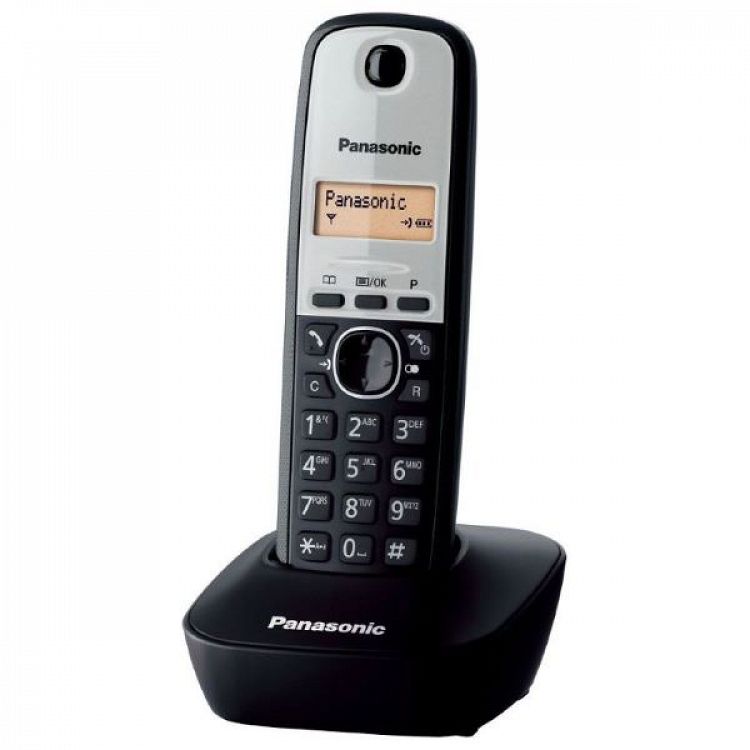 Ασύρματο Τηλέφωνο Panasonic KX-TG 1611GRG Silver