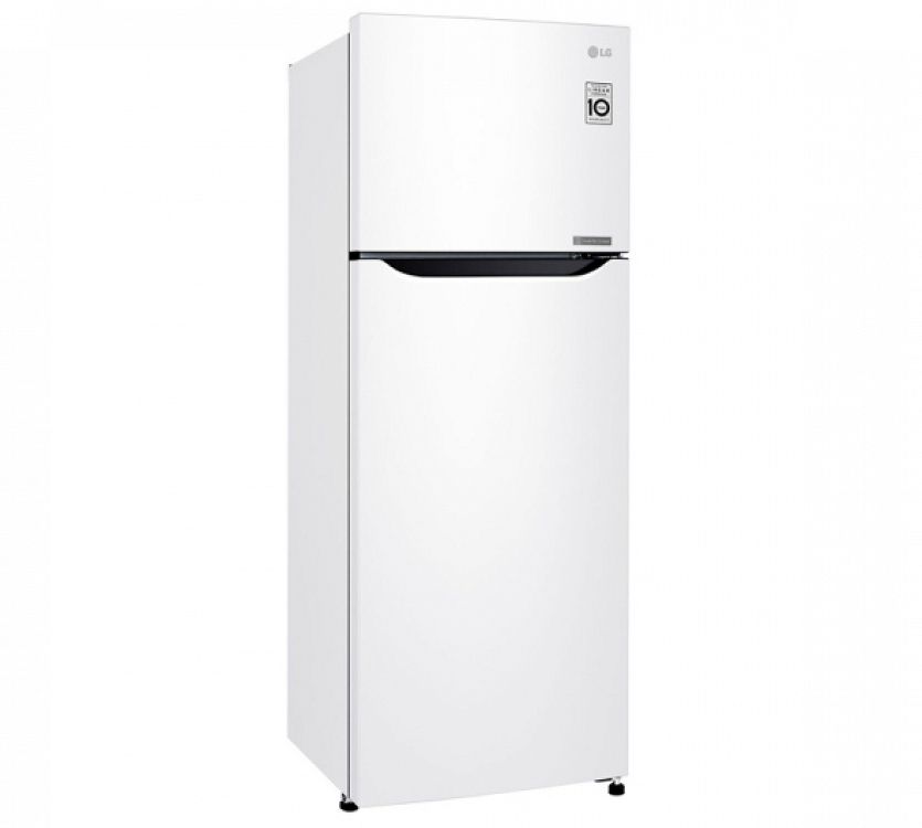 Ψυγείο LG GTB382SHCMD Λευκό